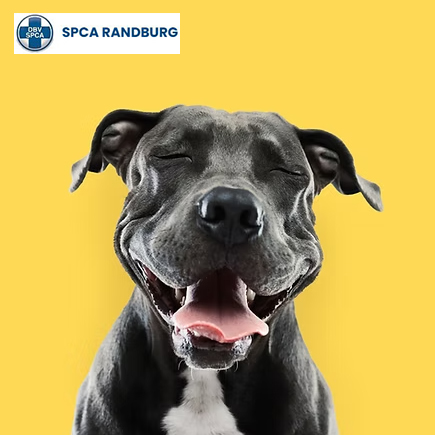 SPCA Randburg